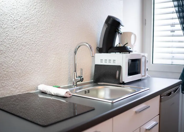 Modernes Mit Kueche, Wlan & Gemeinschaftsbad Koblenc