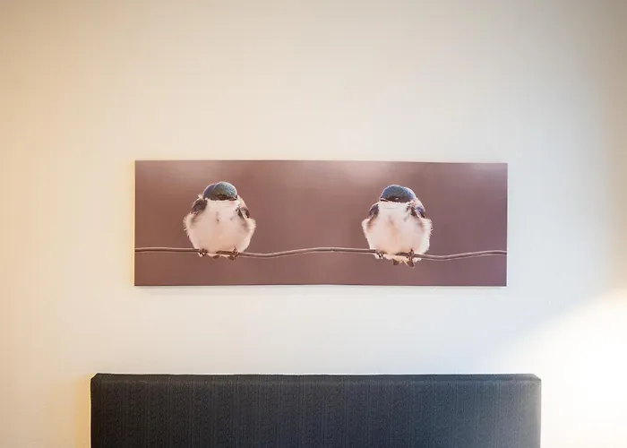 Modernes Mit Kueche, Wlan & Gemeinschaftsbad